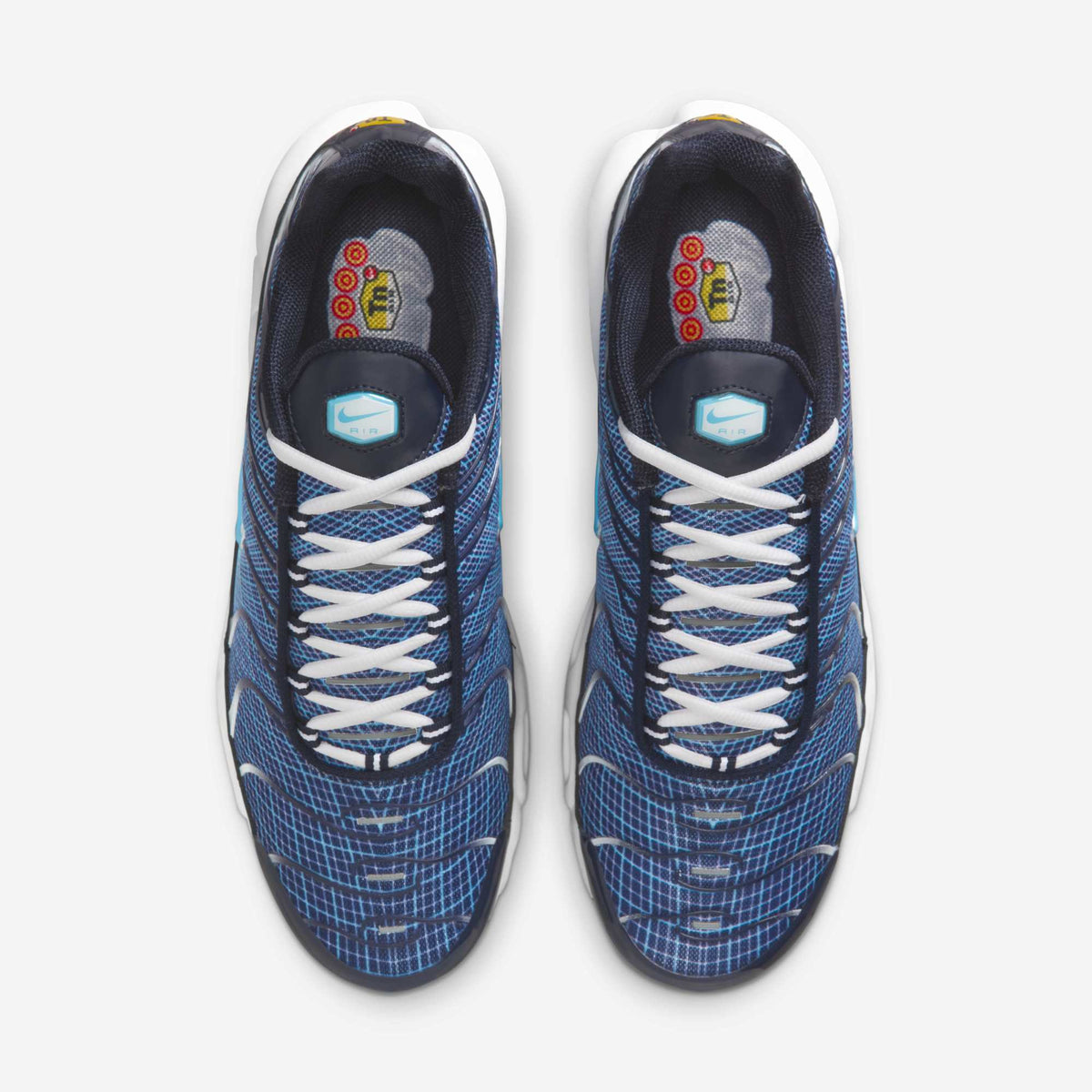 Nike Air Max Plus -  Dark Obsidian / Blue Chill