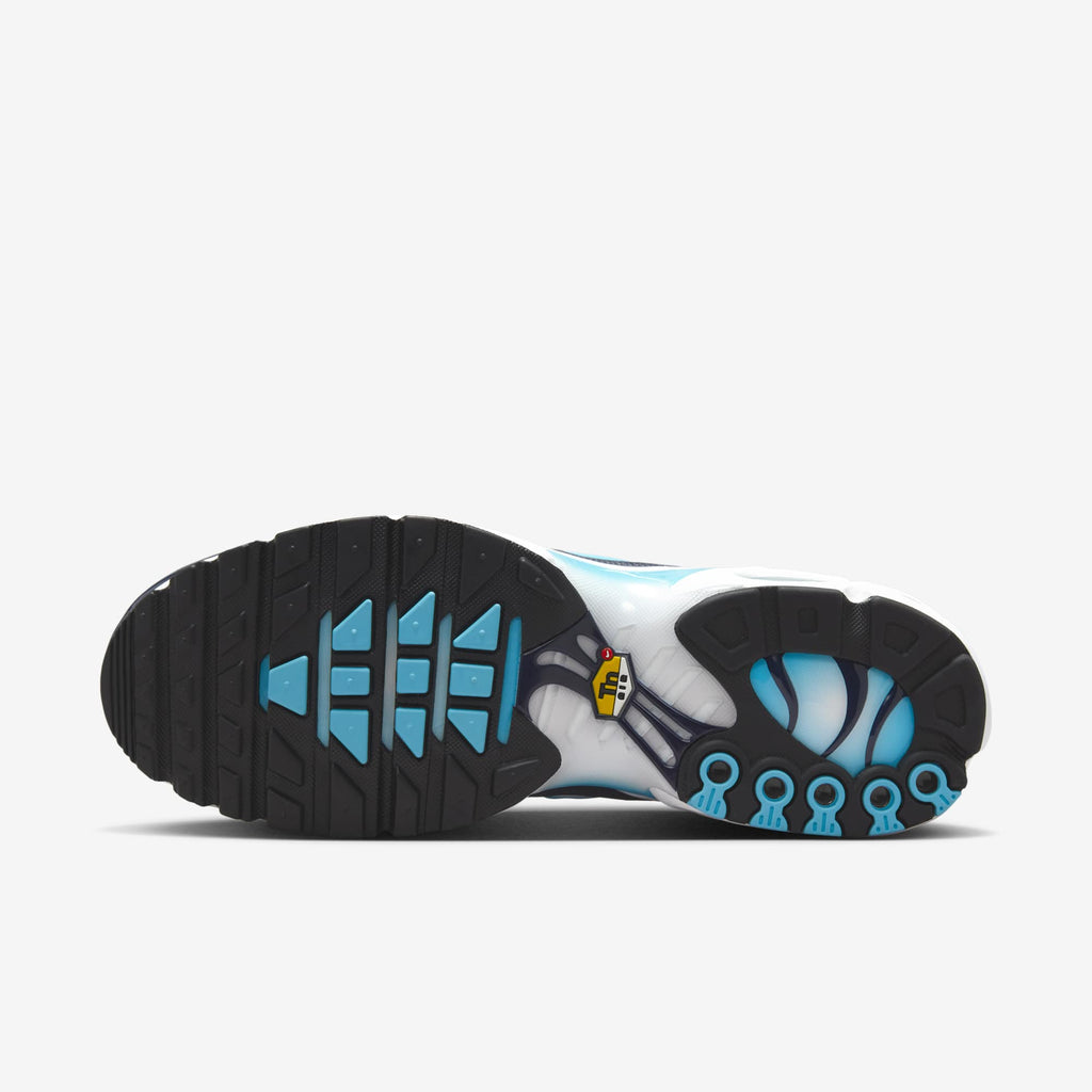 Nike Air Max Plus -  Dark Obsidian / Blue Chill