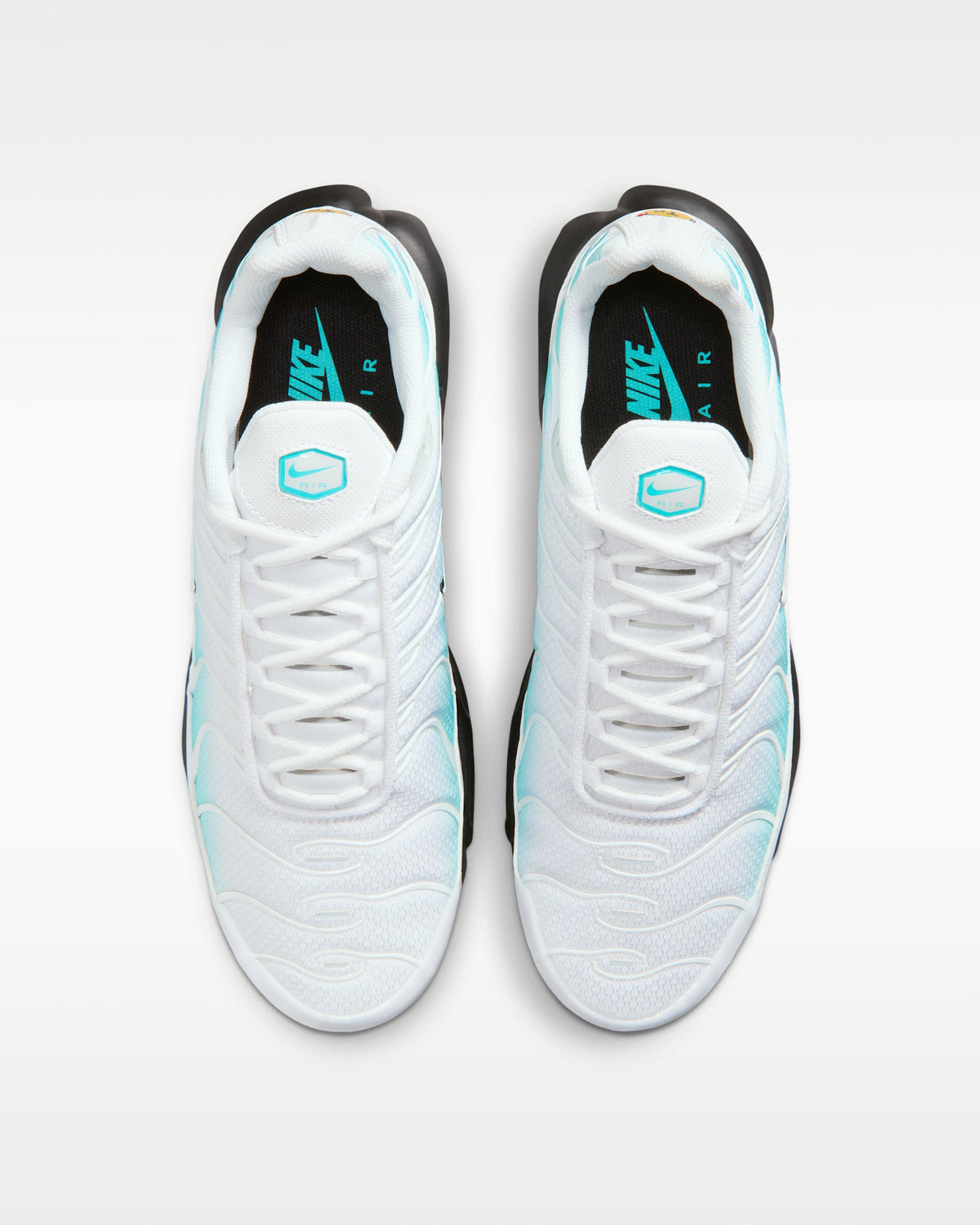 Nike Air Max Plus -  Dusty Cactus