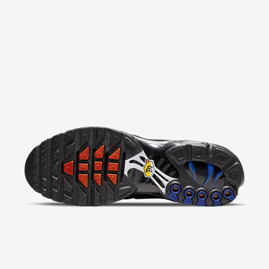 Air Max Plus - France