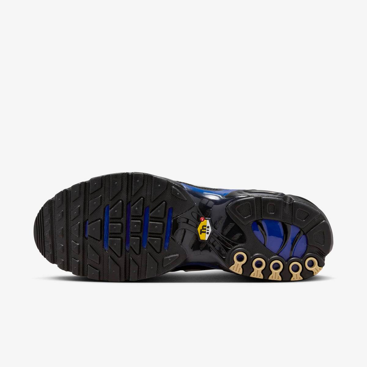 Air Max Plus - Black Racer Blue Obsidian Phantom